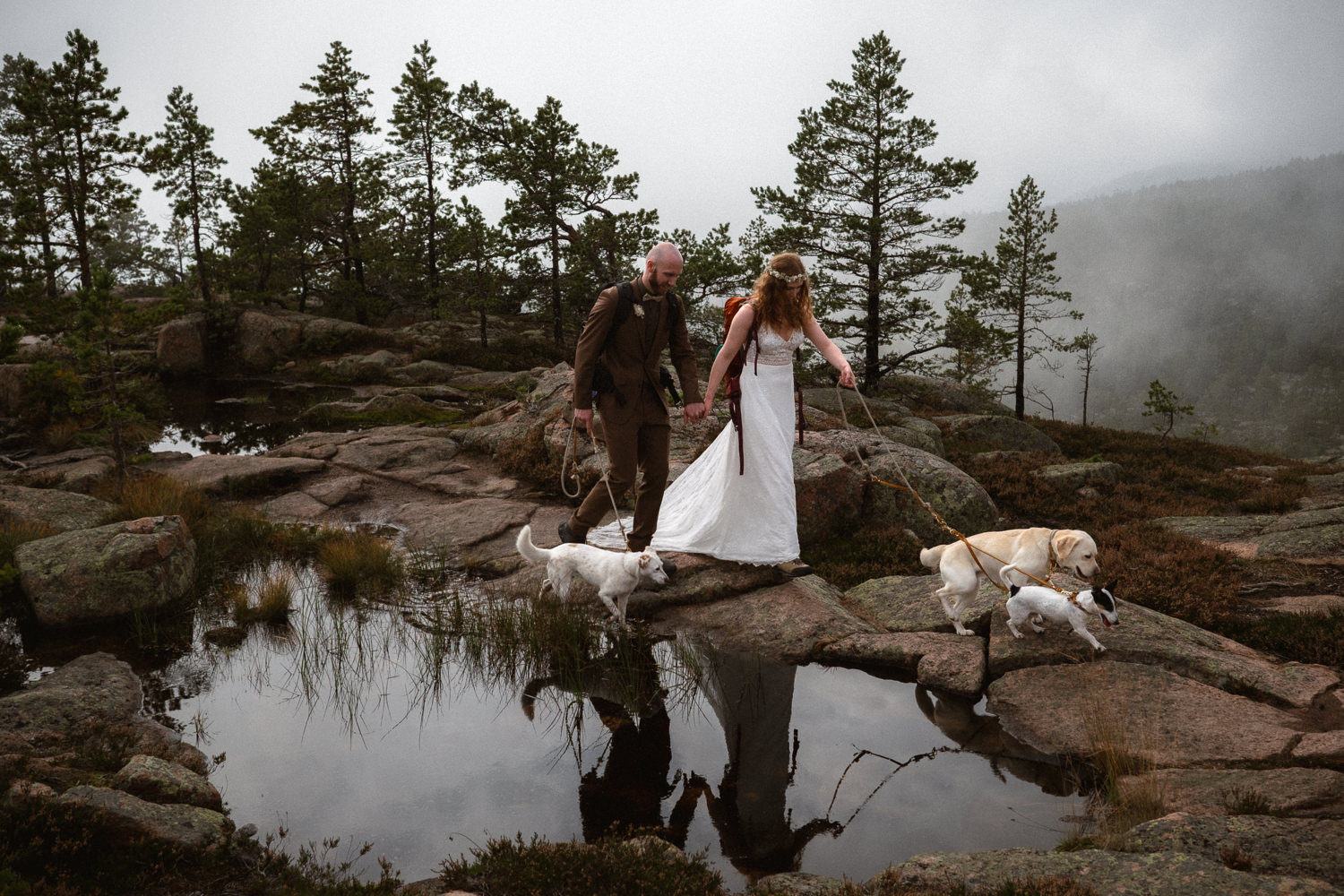 An elopement couples hiking with their dogs in Sweden